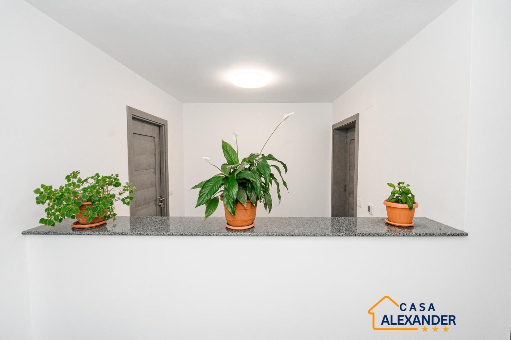 Casa Alexander Hotel Călimăneşti Екстериор снимка